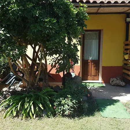 Sa Stella E Monti Landhuis *