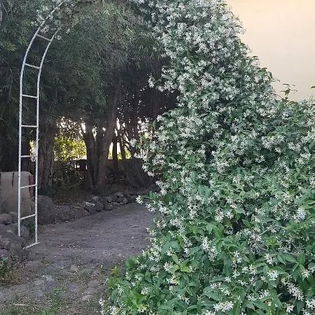 Sa Stella E Monti Country house