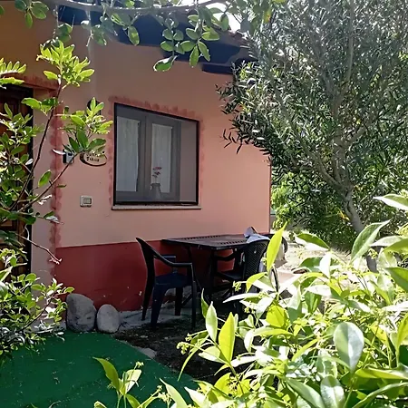 Sa Stella E Monti Landhuis