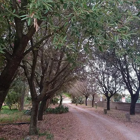 Sa Stella E Monti Country house *