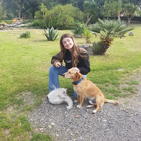 Landsted Sa Stella E Monti