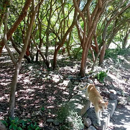 Sa Stella E Monti Landsted