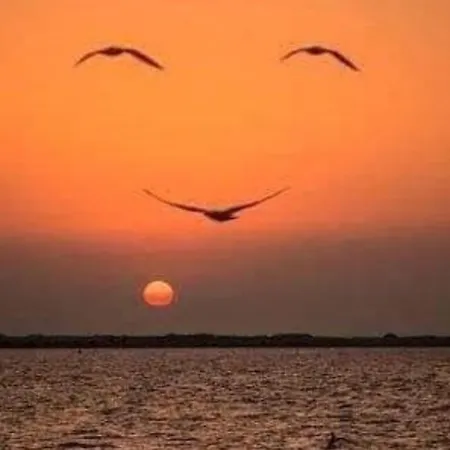 Sa Stella E Monti Landsted